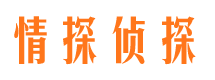 那坡市侦探公司